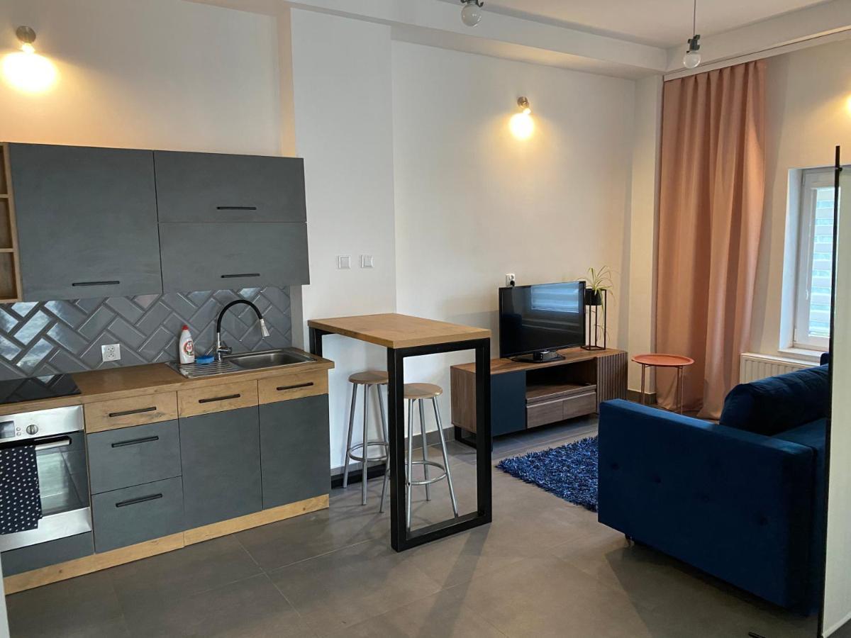 Apartamenty Pod Wierzbami Dwikozy Dış mekan fotoğraf